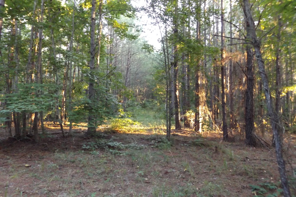 West Point Lake Nature Preserve - Southeastern Trust for Parks and Land