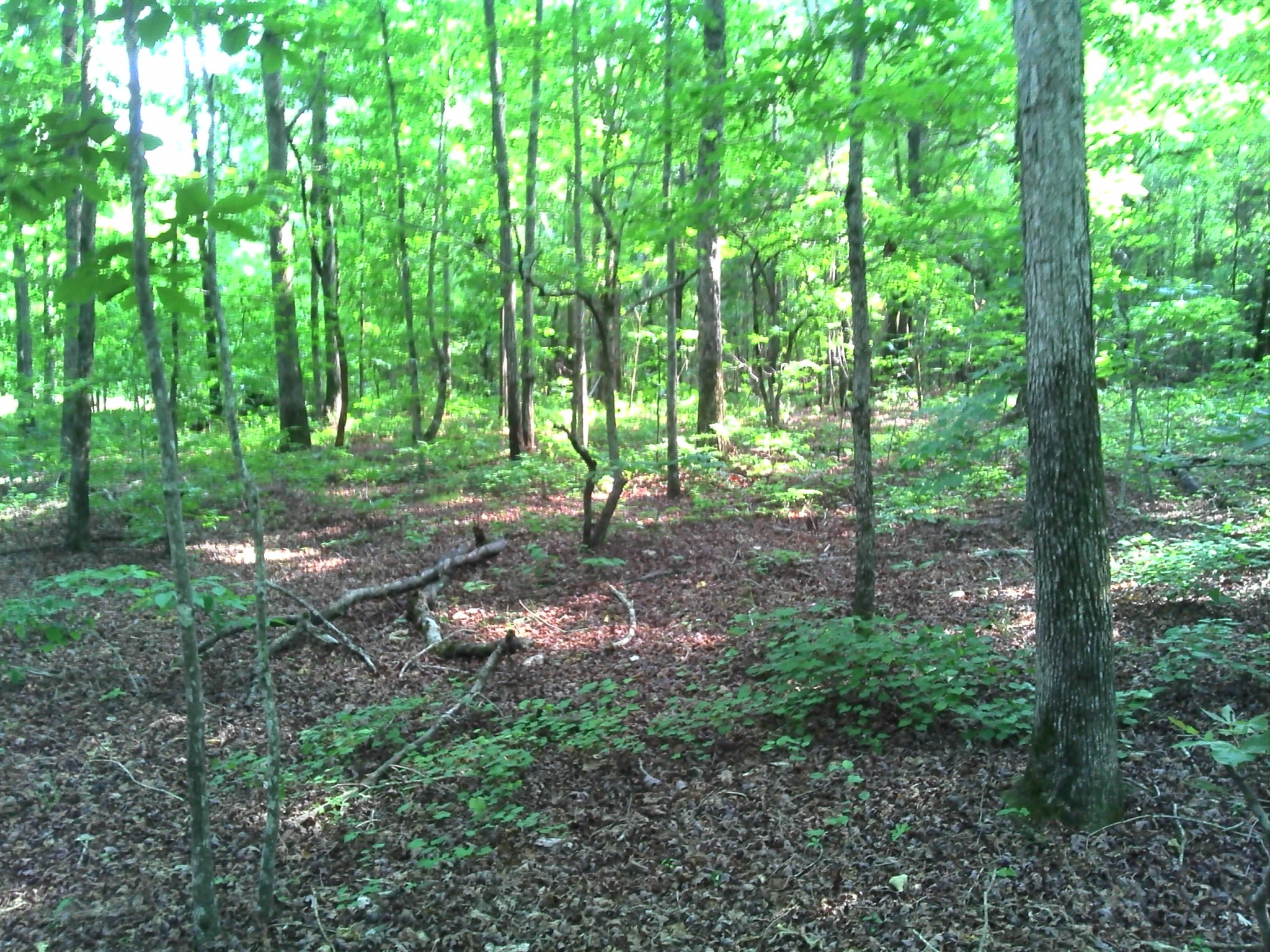 Craft Farms Nature Preserve - Southeastern Trust for Parks and Land