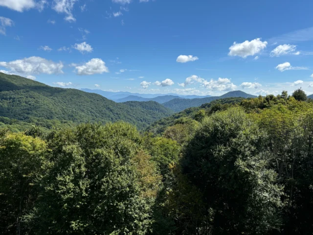 Fall is coming to SE Trust's beautiful 750-acre Bald Mountain Creek Nature Preserve and park in Yancey County, NC! 

SE Trust Executive Director Bill Jones and Board Member Tony Able enjoyed a site monitoring visit on September 6th with Tony’s nephew Tommy.