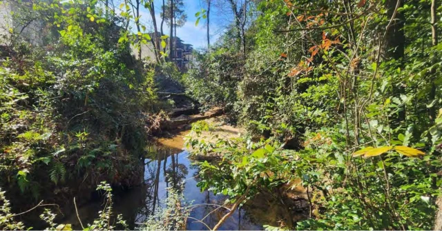 Southeastern Trust for Parks and Land (SE Trust), a non-profit which acquires and stewards land for conservation, recreation, and community, is proud to announce the acquisition of Aztec Road (final name TBD) Nature Preserve in the City of Doraville in DeKalb County, Georgia. The preserve is just southwest of Atlanta’s famous Spaghetti Junction. SE Trust will perpetually protect and care for this neighborhood green space. It will always be natural land that is available for public use for the quiet enjoyment of nature. 

This 8-acre property was initially acquired and conserved in by Southeast Land Preservation Trust ( www.slpt.org ). SLPT protected and cared for the site for many years as the trees grew bigger, South Peachtree Creek flowed through it, and development intensified around it. In 2024 the boards of directors for Southeast Land Preservation Trust and SE Trust each agreed that Aztec Road Nature Preserve would benefit from inclusion in SE Trust’s pocket nature preserve program and a transfer of ownership occurred in August 2024.