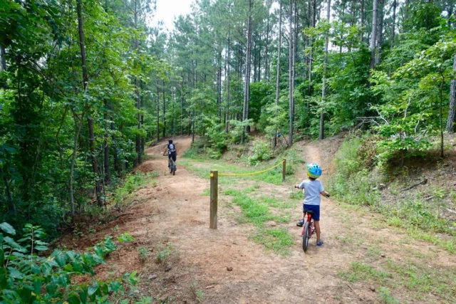 It's another beautiful day!  We are proud of the public value of SE Trust and our mission of Conservation, Recreation, and Community. Hikers, bikers, walkers, birders, climbers, and nature lovers have 14 nature parks to enjoy thanks to SE Trust. The picture shows the top of Talking Rock Nature Park's downhill course Dragon's Tail.

Interested in helping? We are developing our 2025 slates of directors and committee members. Contact Executive Director Bill Jones at bill.jones@stpal.org